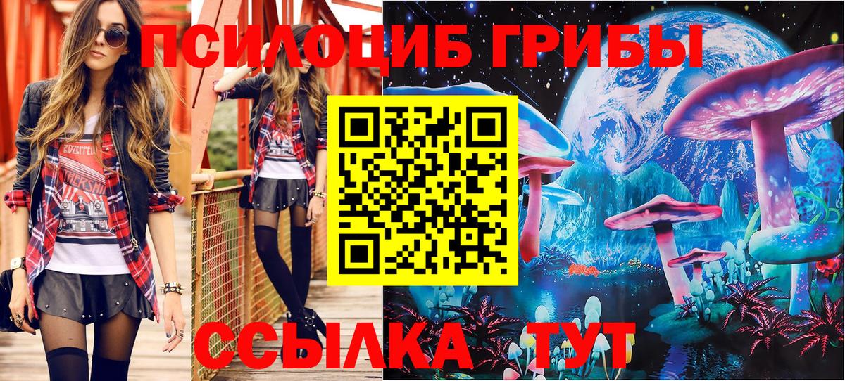 Галлюциногенные грибы мицелий Тверь
